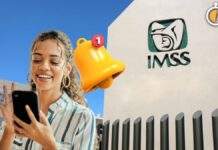 Cédula digital del IMSS: paso a paso para activarla en la app del seguro
