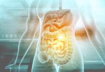 Salud intestinal: México con casi 2 millones de personas con enfermedades infecciosas